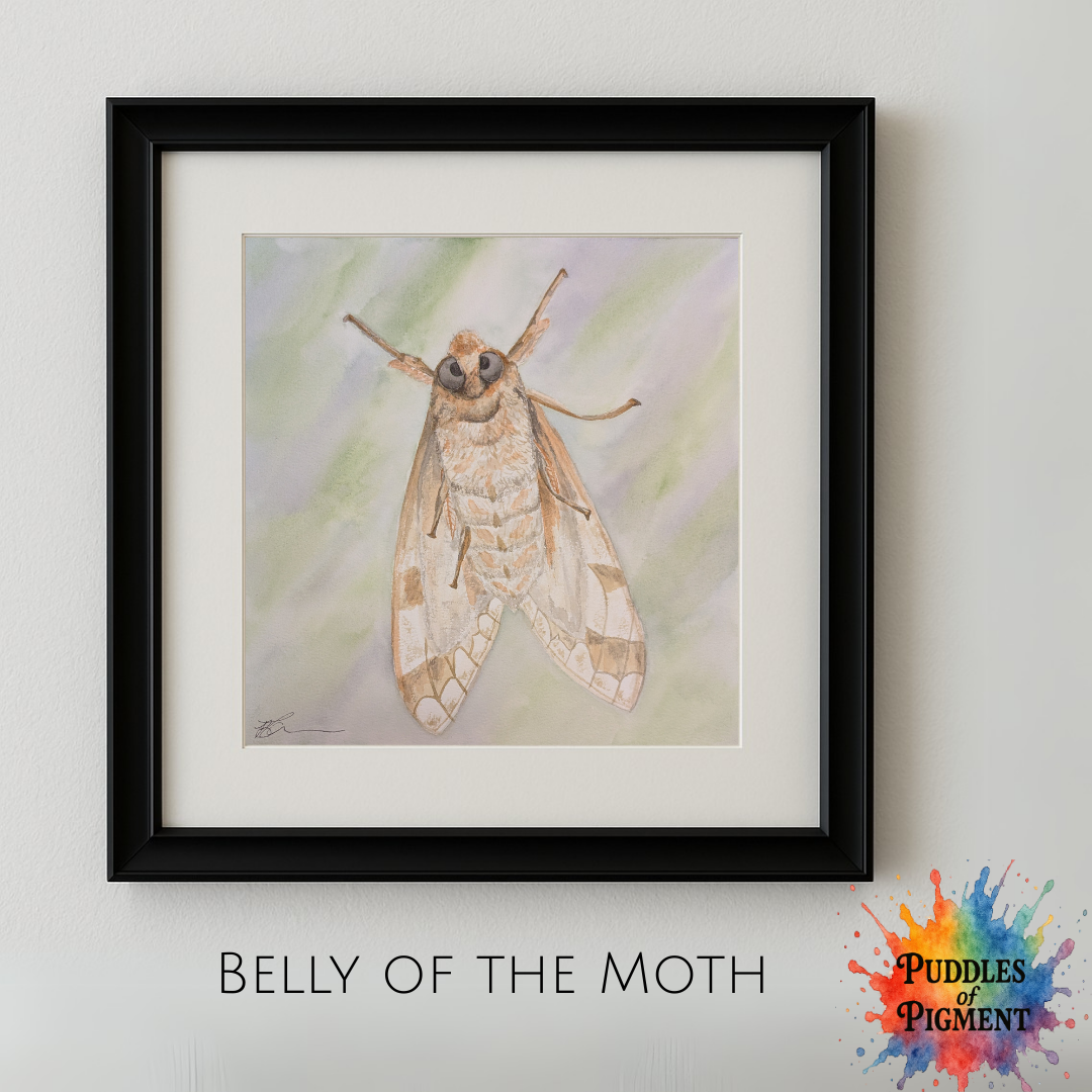 Belly of the Moth