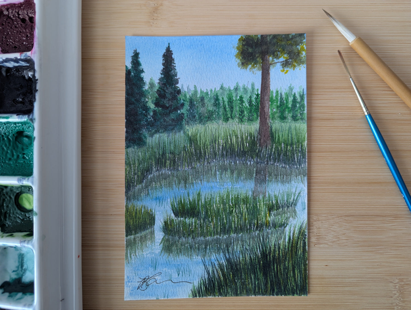 Stillwater Grasses