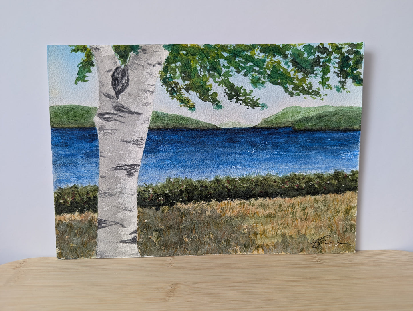 Where the Birch Stands