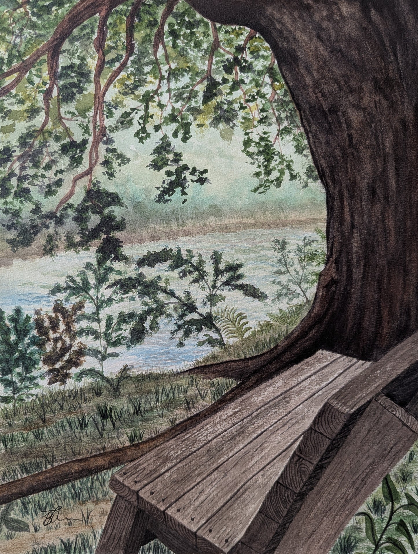 Painting of a bench underneath of a large tree looking over a calm Meduxnekeag River