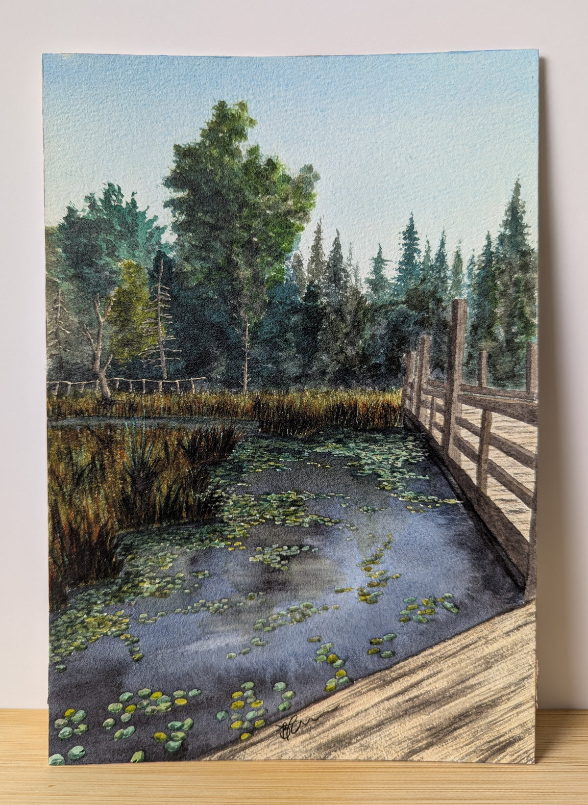 Meandering at Beaver Pond