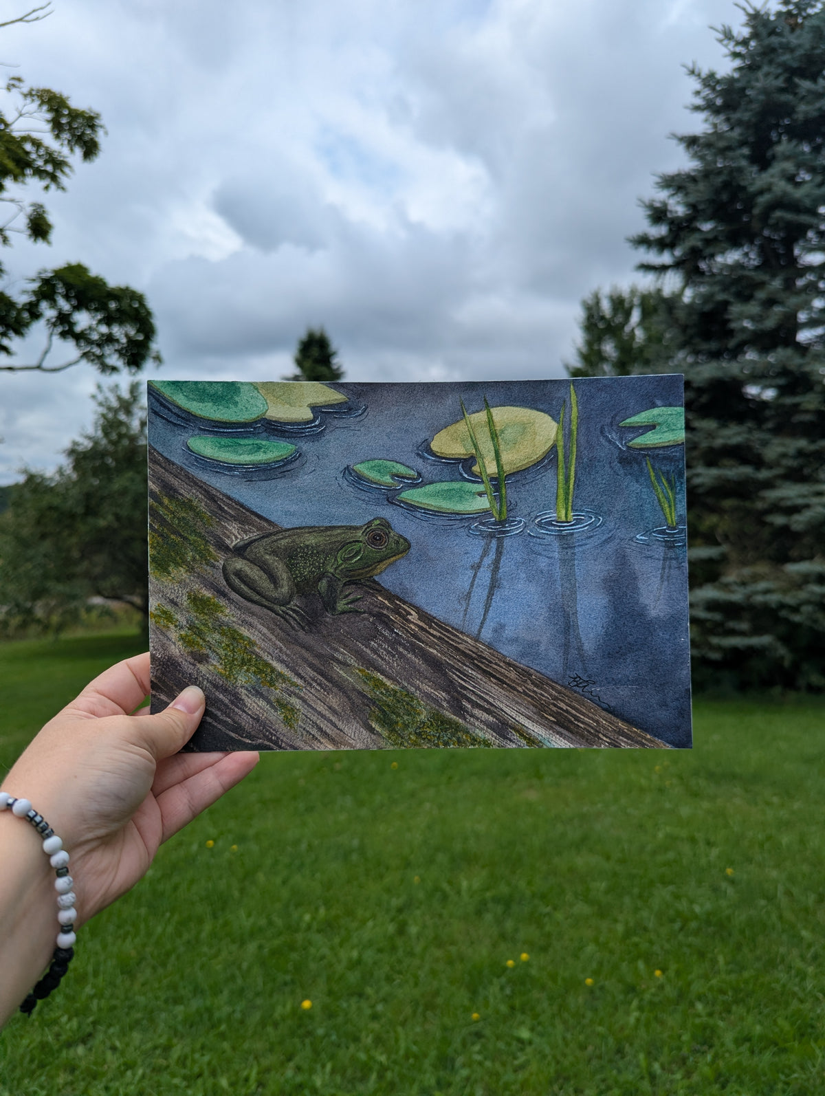 Mesmerized at Beaver Pond
