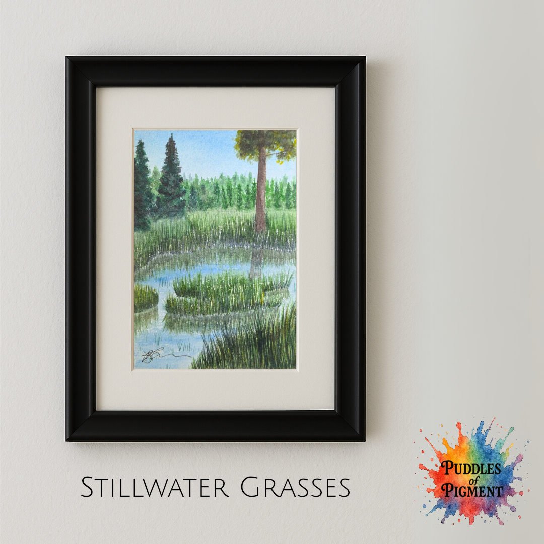 Stillwater Grasses